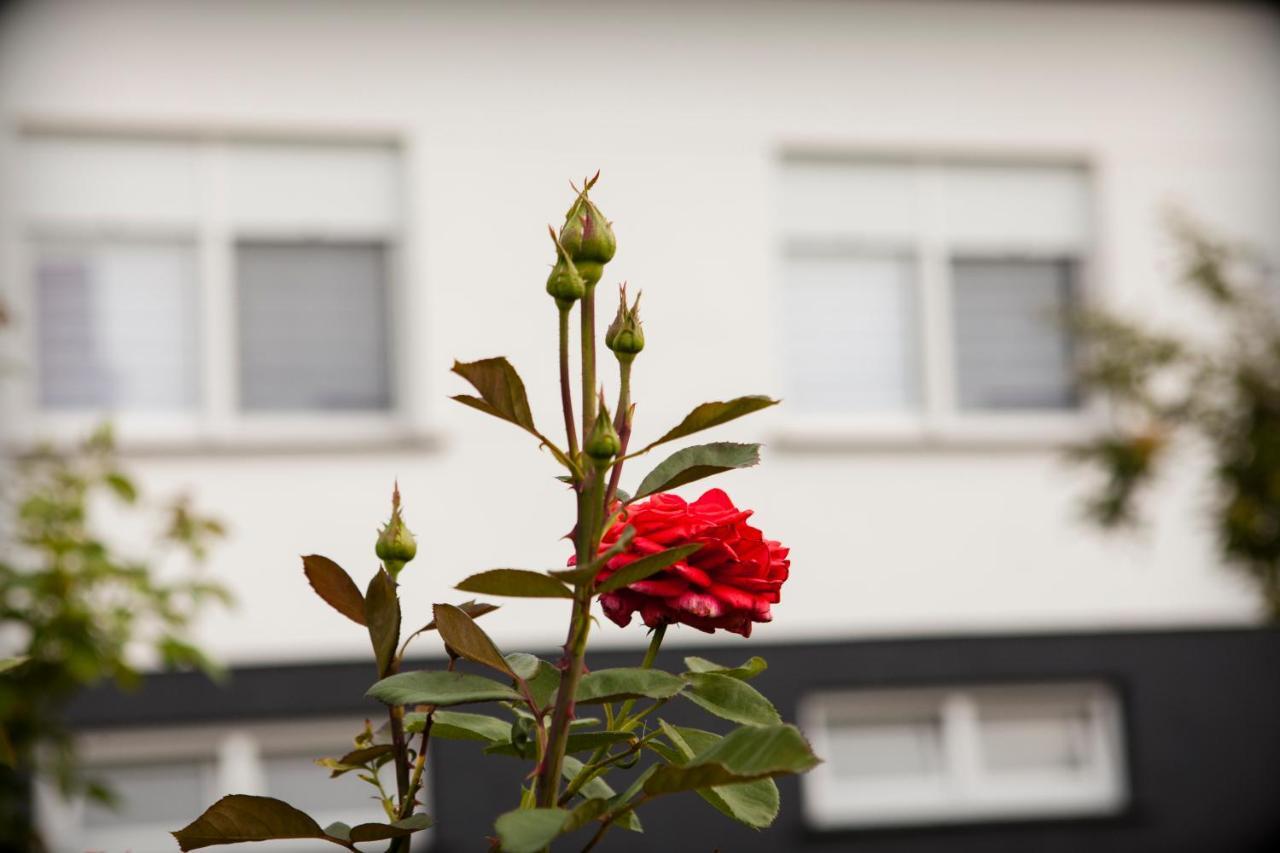 Ferienwohnung Apartman Kuca 150 Mala Subotica Exterior foto